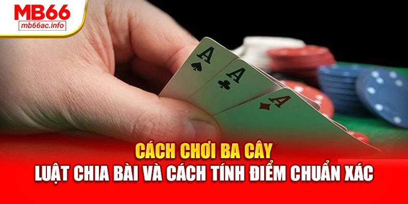 Cách chơi ba cây - Luật chia bài và cách tính điểm chuẩn xác