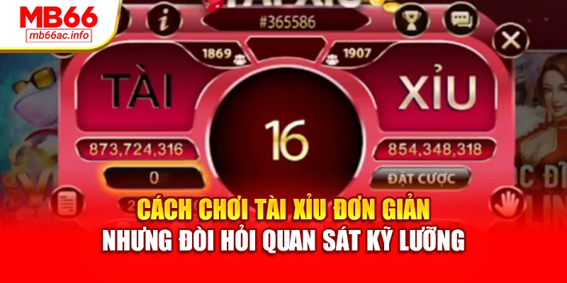 Cách chơi tài xỉu đơn giản nhưng đòi hỏi quan sát kỹ lưỡng