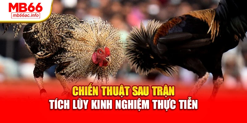 Chiến thuật sau trận tích lũy kinh nghiệm thực tiễn