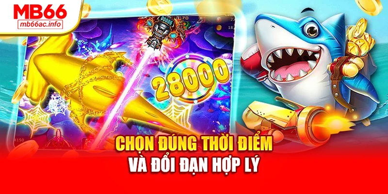 Chọn đúng thời điểm và đổi đạn hợp lý