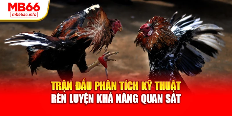 Trận đấu phân tích kỹ thuật rèn luyện khả năng quan sát