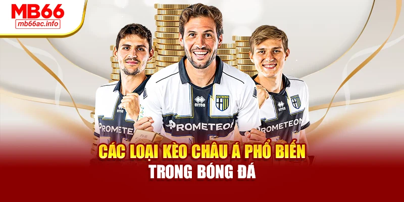 Các loại kèo châu Á phổ biến trong bóng đá