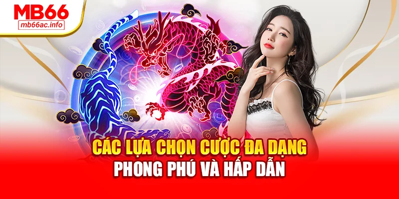 Các lựa chọn cược đa dạng phong phú và hấp dẫn