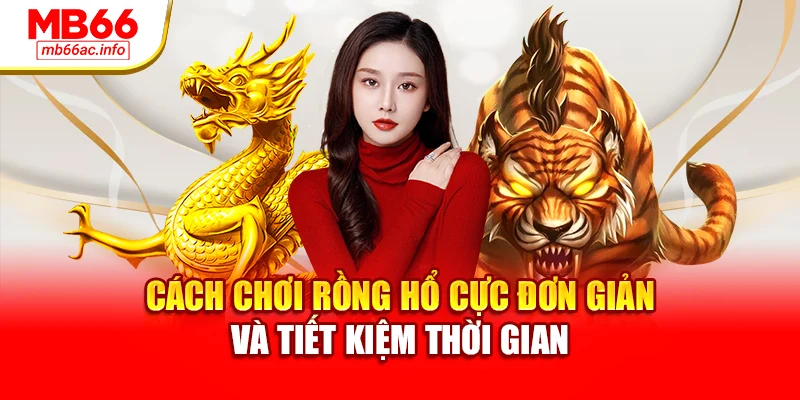 Cách chơi rồng hổ cực đơn giản và tiết kiệm thời gian