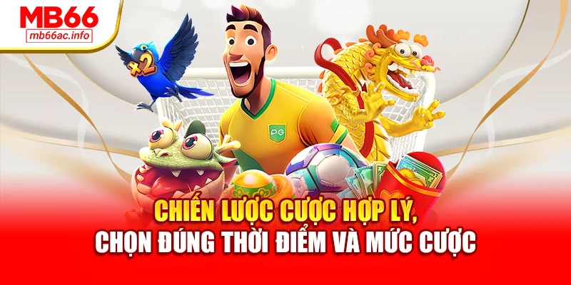 Chiến lược cược hợp lý, chọn đúng thời điểm và mức cược