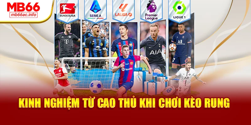 Kinh nghiệm từ cao thủ khi chơi kèo rung