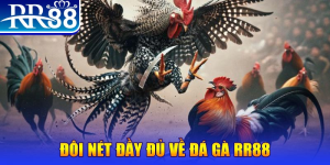 RR88 Đá Gà Uy Tín Không – Đánh Giá Chi Tiết Sân Chơi Cá Cược
